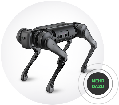 B1 Quadruped Robot Dog