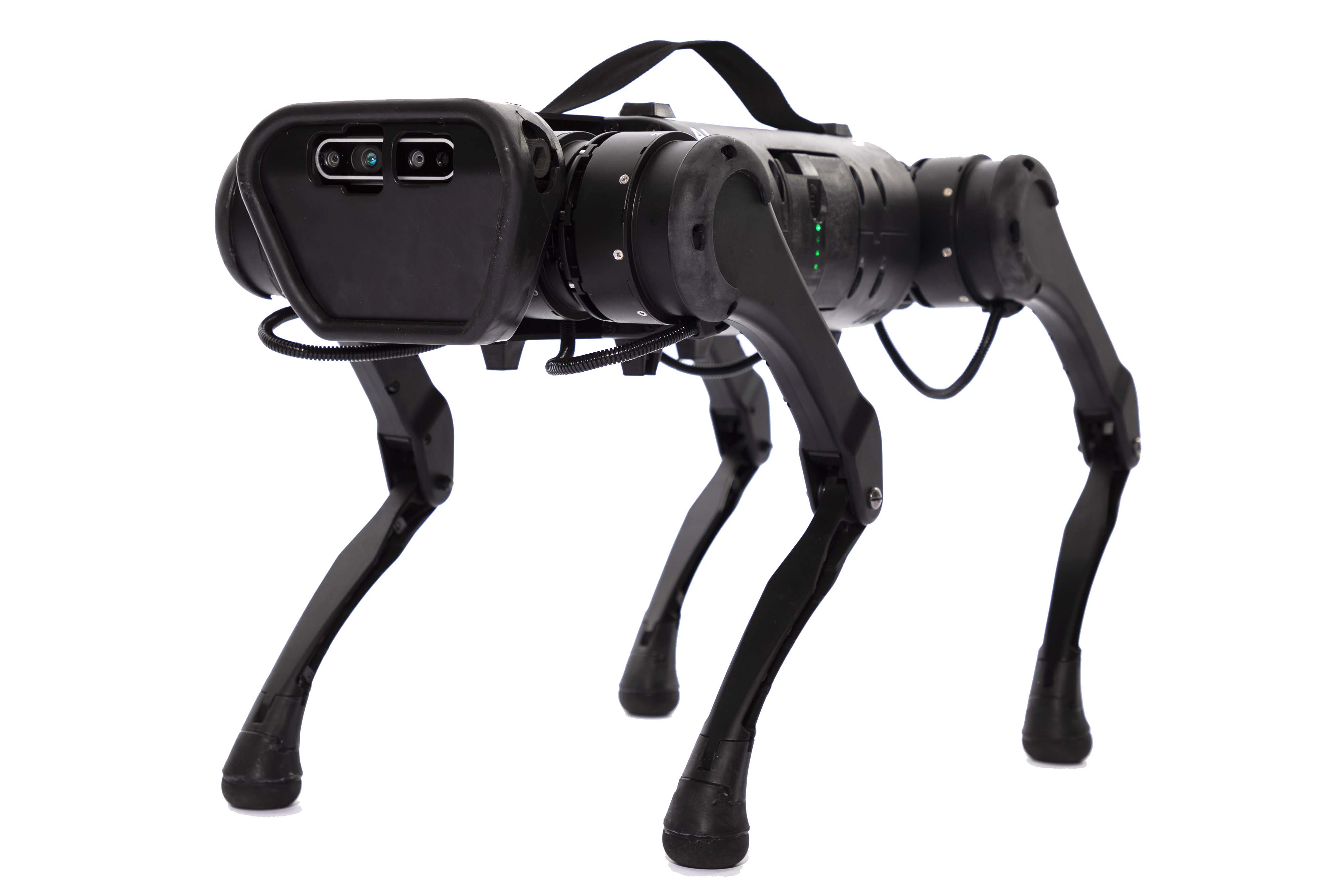 A1