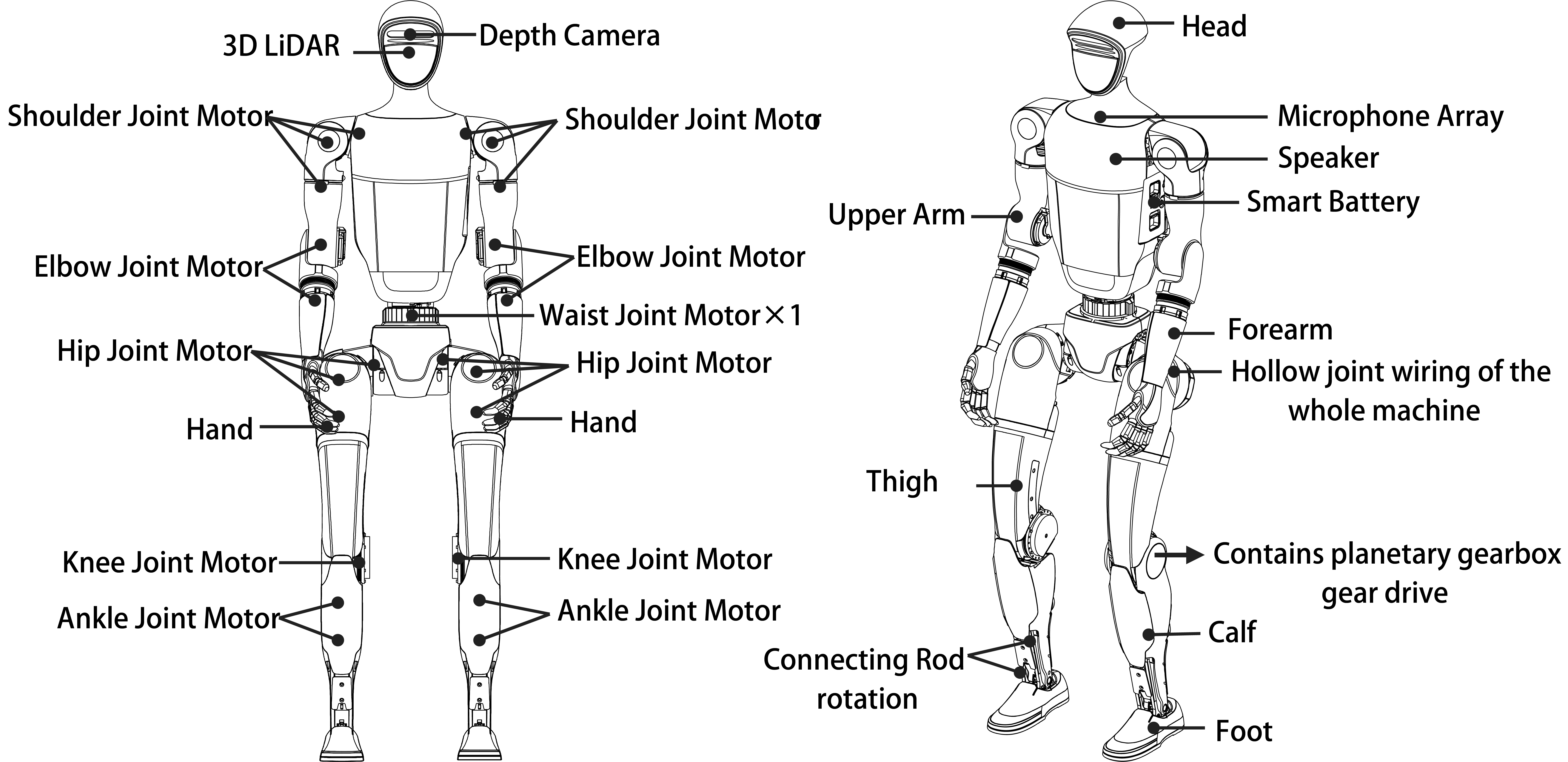 H1 Robot