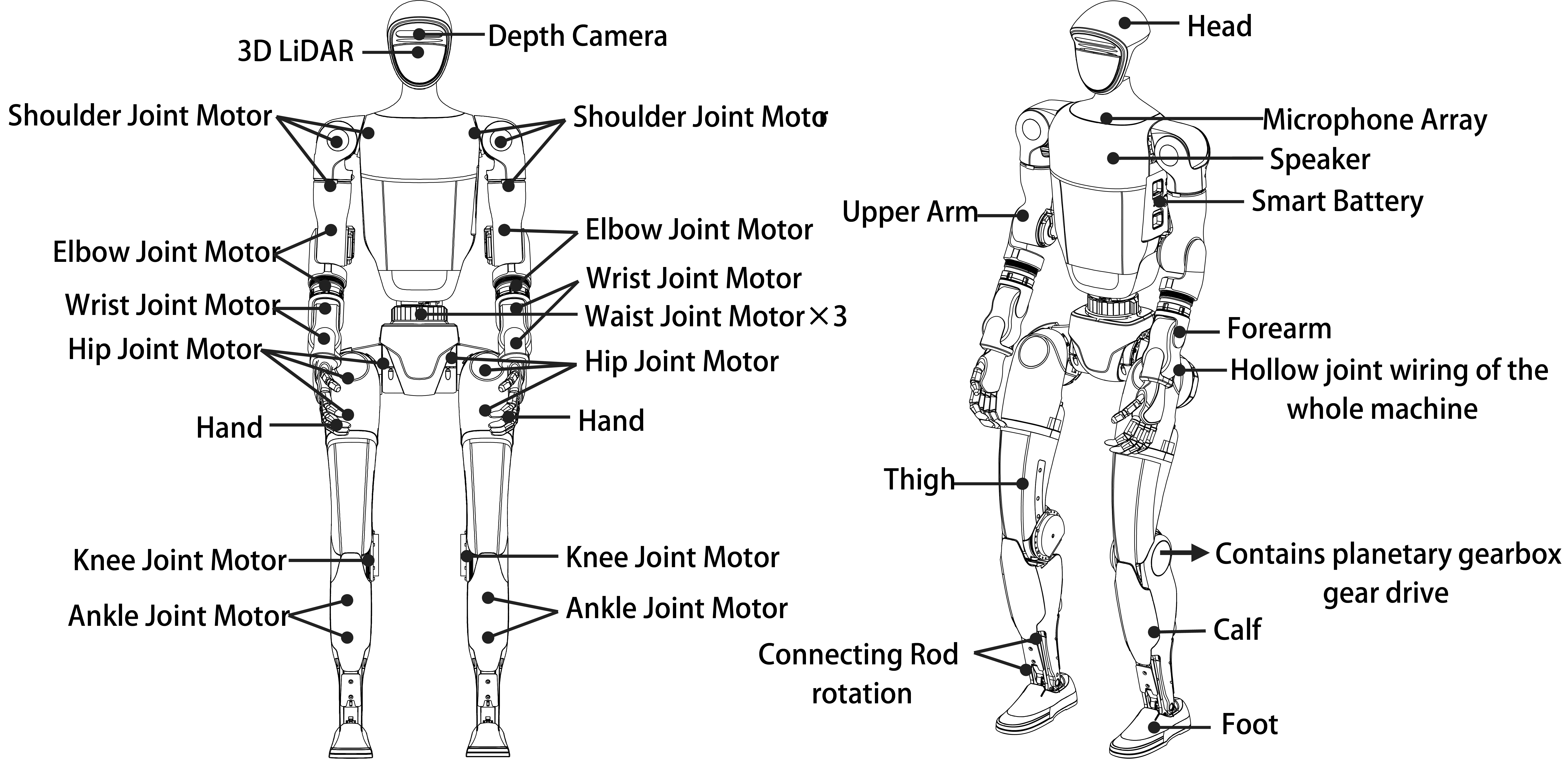 H1 Robot
