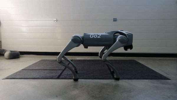 _images/Go2_Running.gif