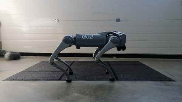 _images/Go2_Walking.gif
