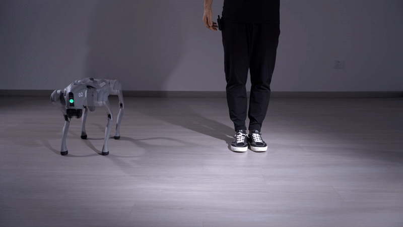 _images/accompany1.gif