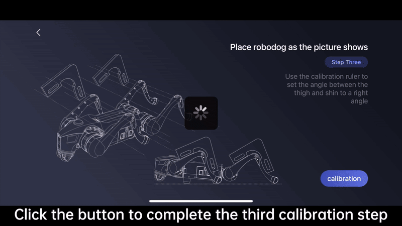 _images/leg5.gif