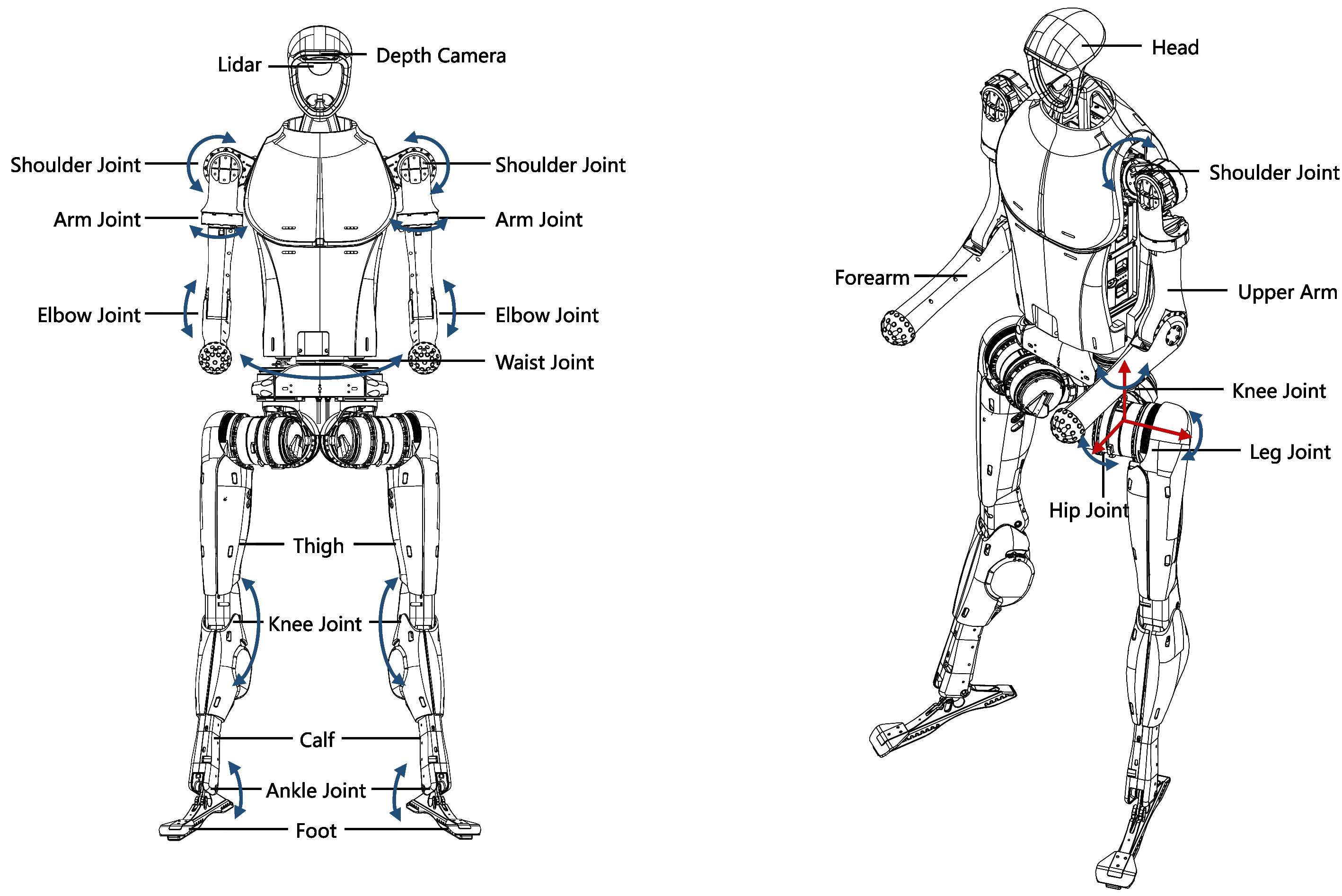 H1 Robot