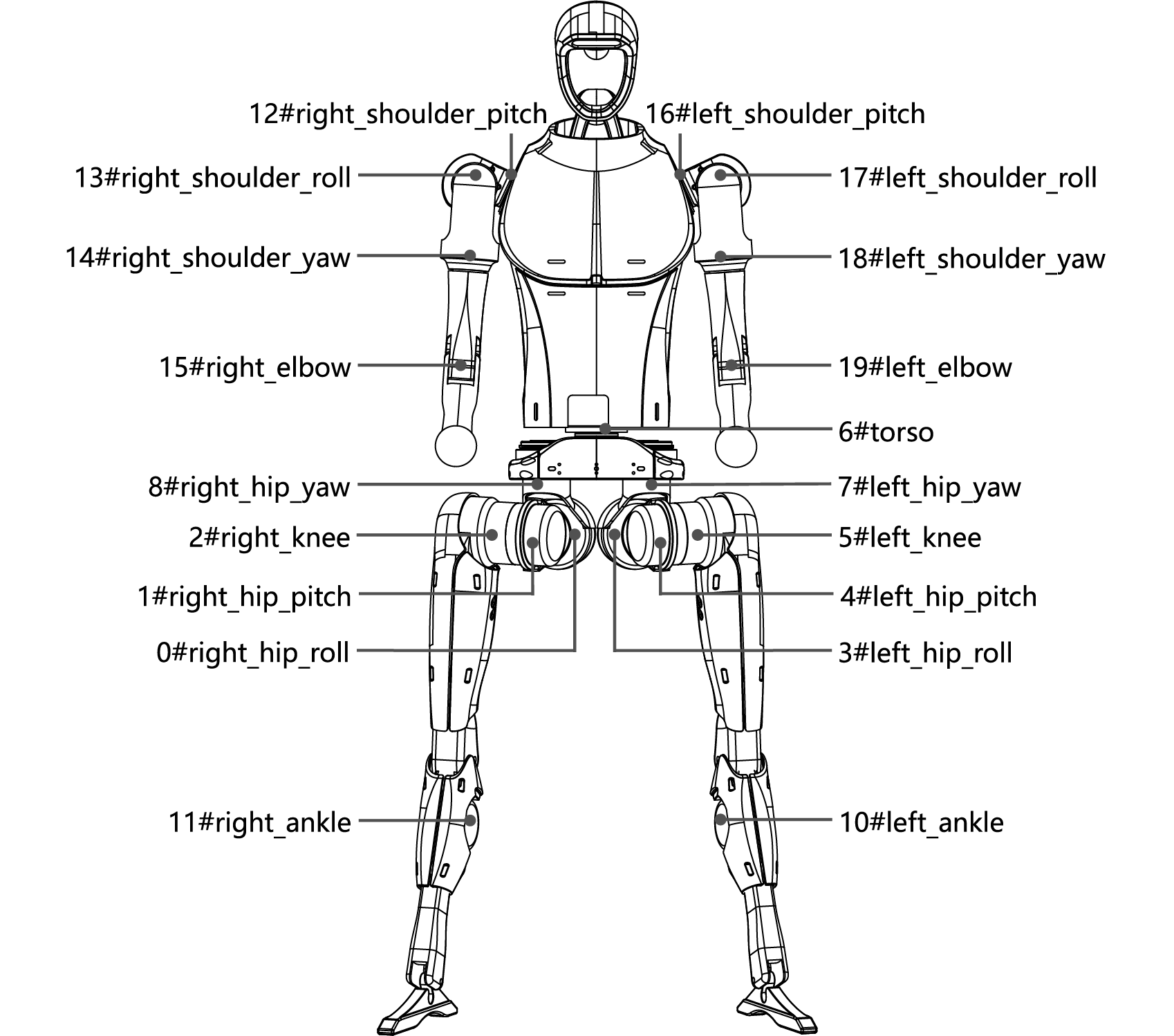 H1 Robot